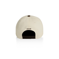 Stolen 5-Panel Cap