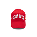 Stolen Art Cap